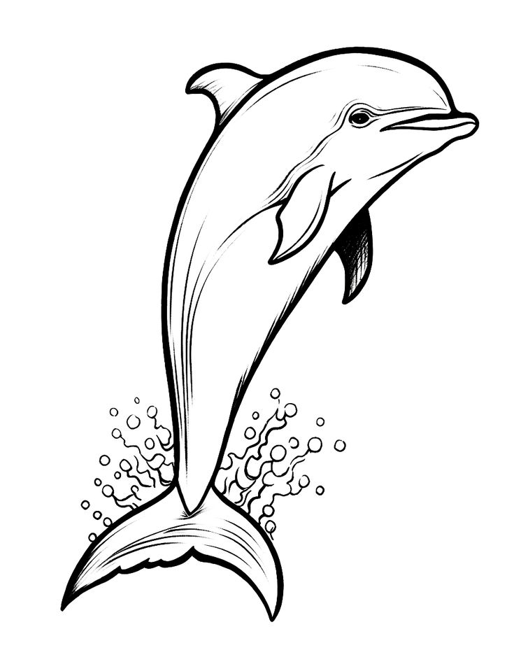 33 Free Printable Dolphin Coloring Sheets Coloring Craze
