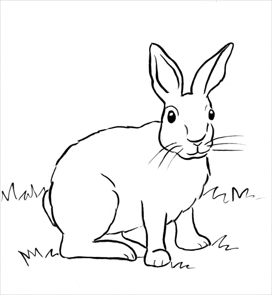 Bunny Coloring Sheets Free Printable Prntbl concejomunicipaldechinu 