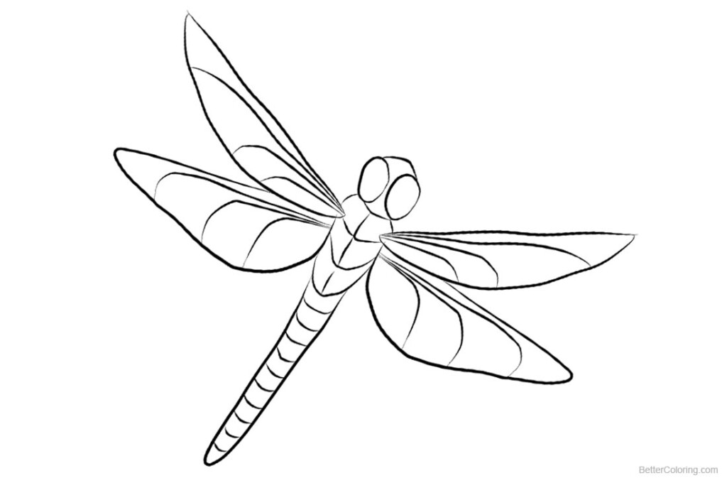 Dragonfly Coloring Pages Clipart Free Printable Coloring Pages