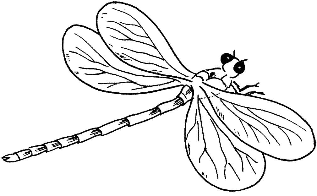 Dragonfly Printable Coloring Page Free Printable Coloring Pages