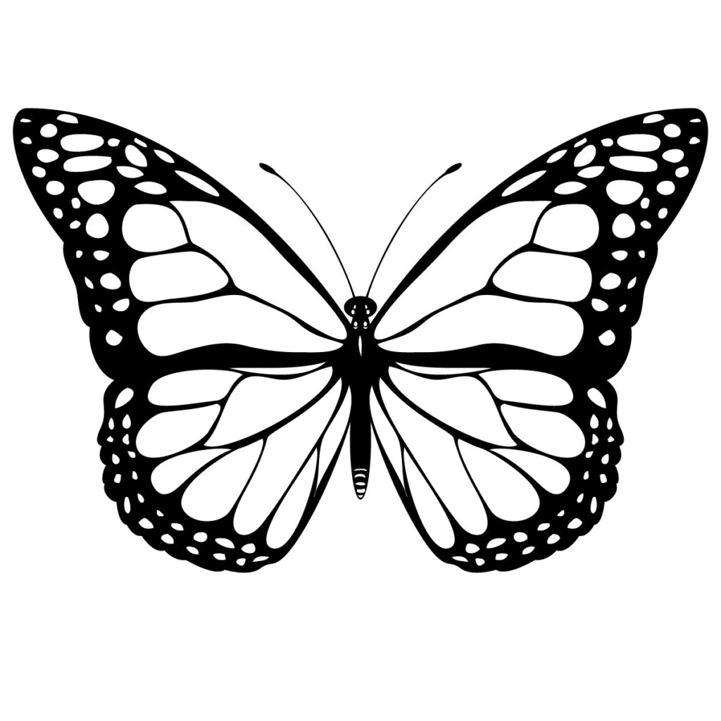 Free Printable Coloring Pages Butterfly 2015 Lunawsome