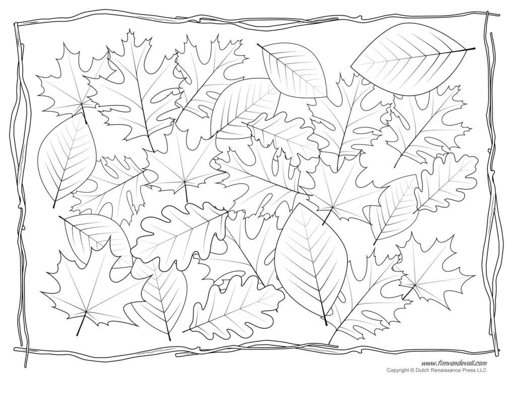 Free Printable Leaf Coloring Sheets