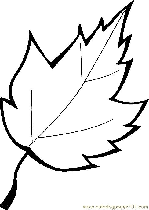 Free Printable Leaf Coloring Sheets