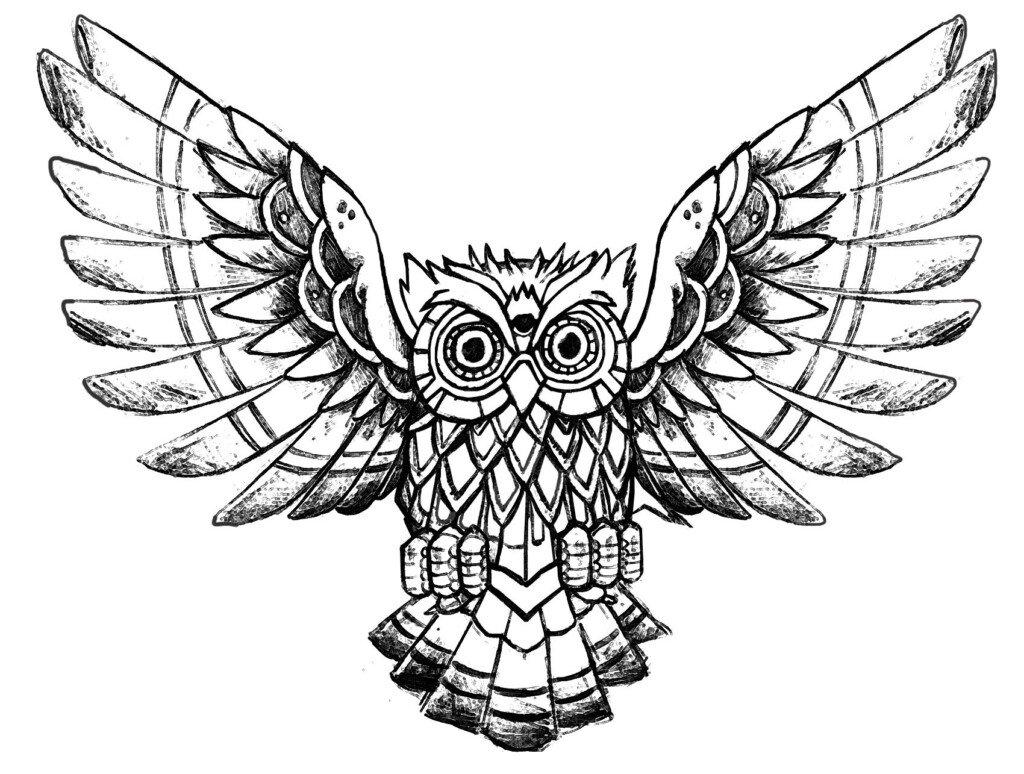 Free Printable Owl Coloring Pages