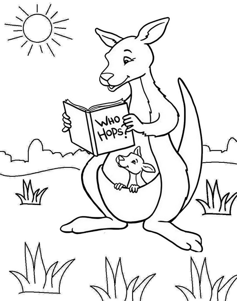 Kangaroo Coloring Sheet Printable