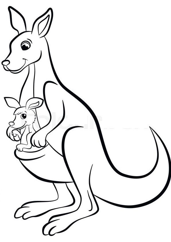 Kangaroo Coloring Sheet Printable