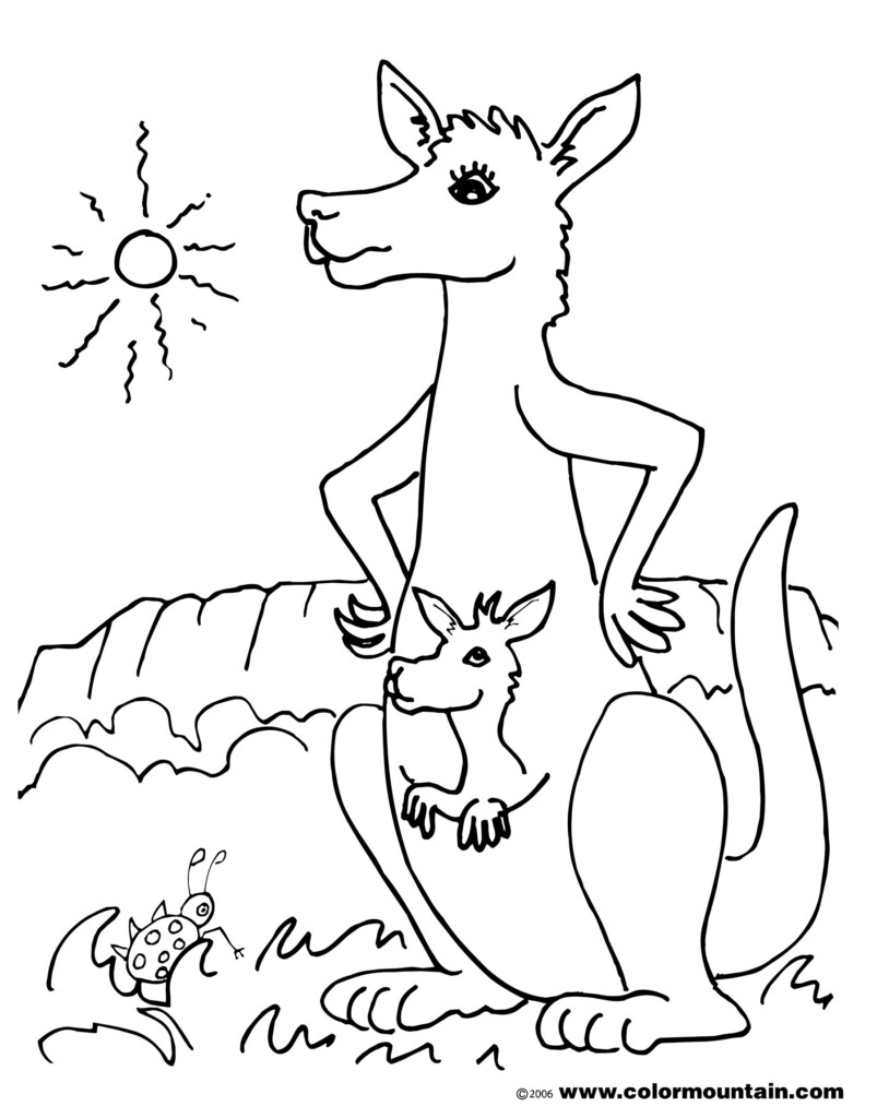 Kangaroo Coloring Sheet Printable