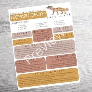 Leopard Gecko Care Sheet PRINTABLE Reptile Guide How To Guide 