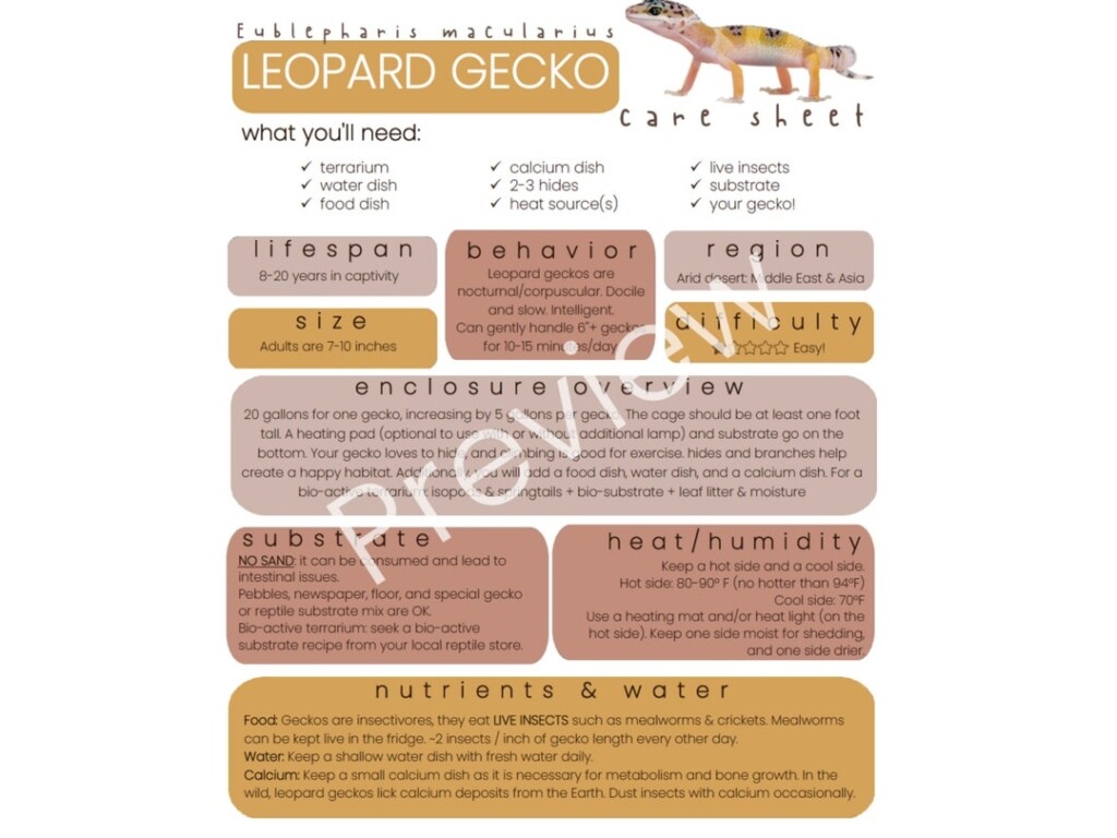 Leopard Gecko Care Sheet PRINTABLE Reptile Guide How To Guide 