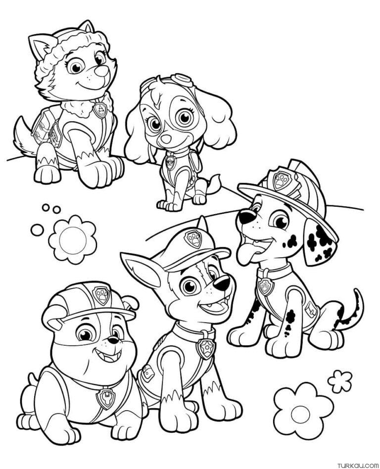 Paw Patrol Coloring Sheets Preschool Coloring Pages