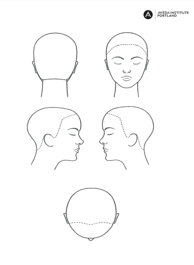 Printable Blank Head Sheets For Hairdressing