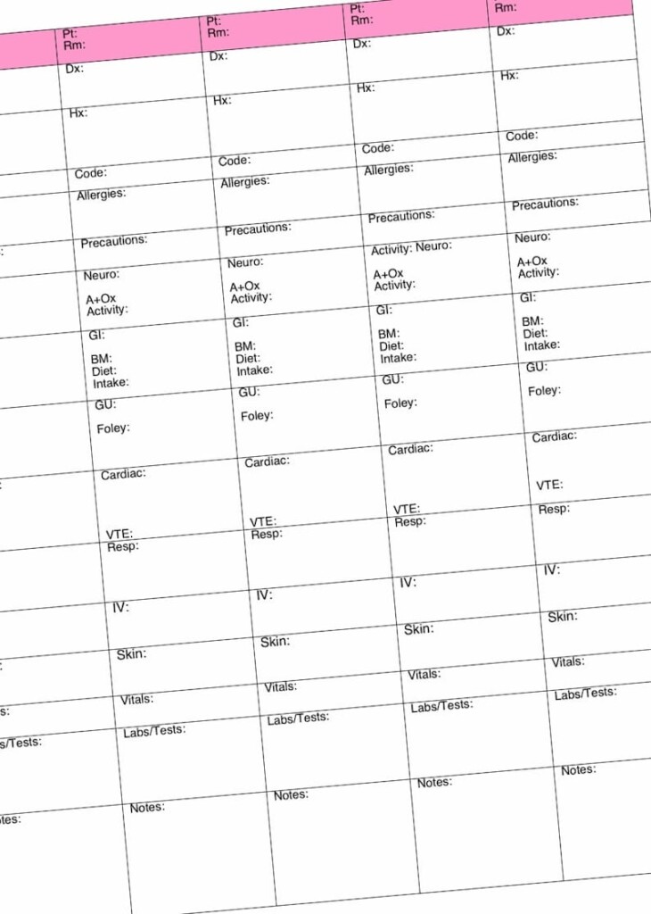 Printable Nurse Brain Sheet 5 Patients Printable Templates