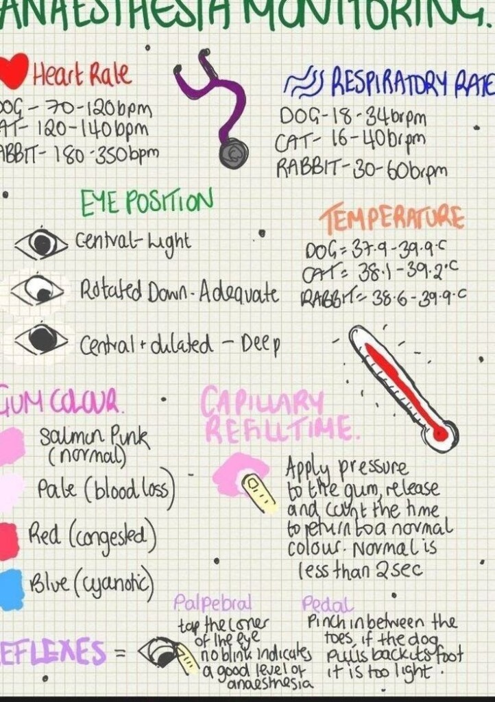 Printable Veterinary Anesthesia Monitoring Sheet