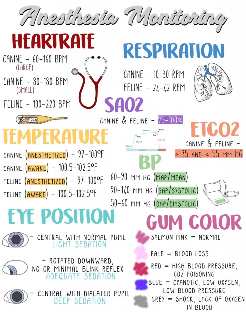 Printable Veterinary Anesthesia Monitoring Sheet Printable New Year 