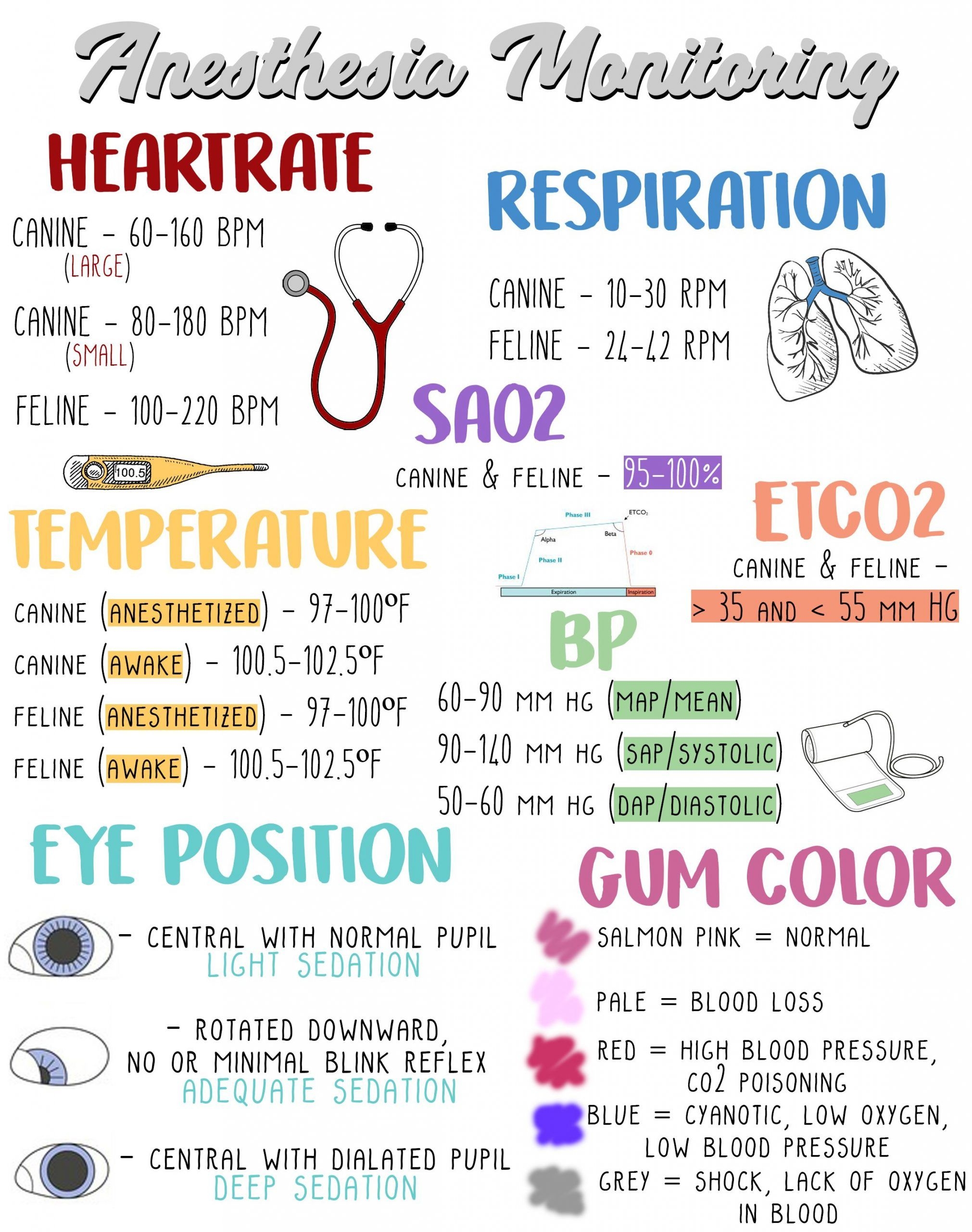 Printable Veterinary Anesthesia Monitoring Sheet Printable New Year