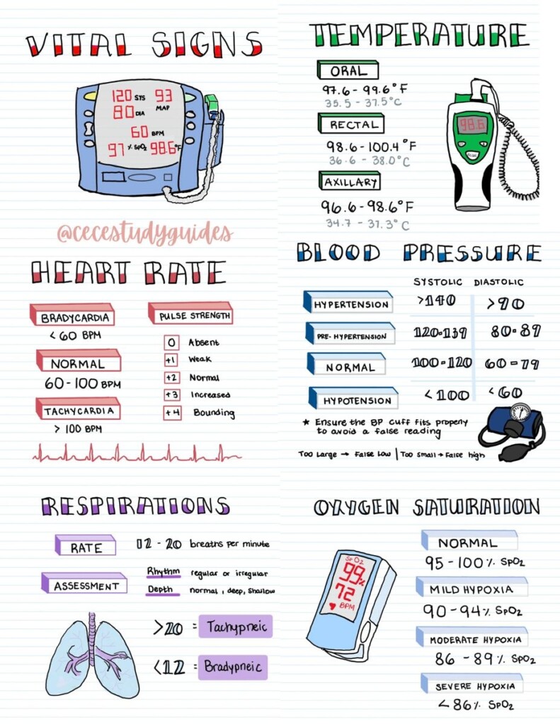 Printable Vital Signs Sheet Nursing Printable Word Searches