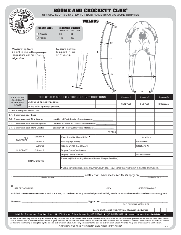 Printable Whitetail Score Sheet