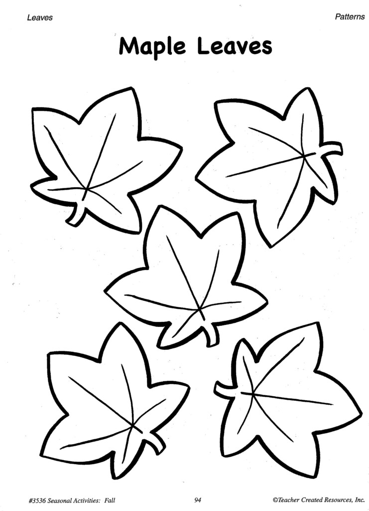 Traceable Leaf Patterns Coloring Home