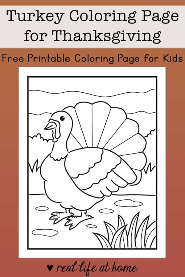Turkey Coloring Sheet For Kids Infoupdate