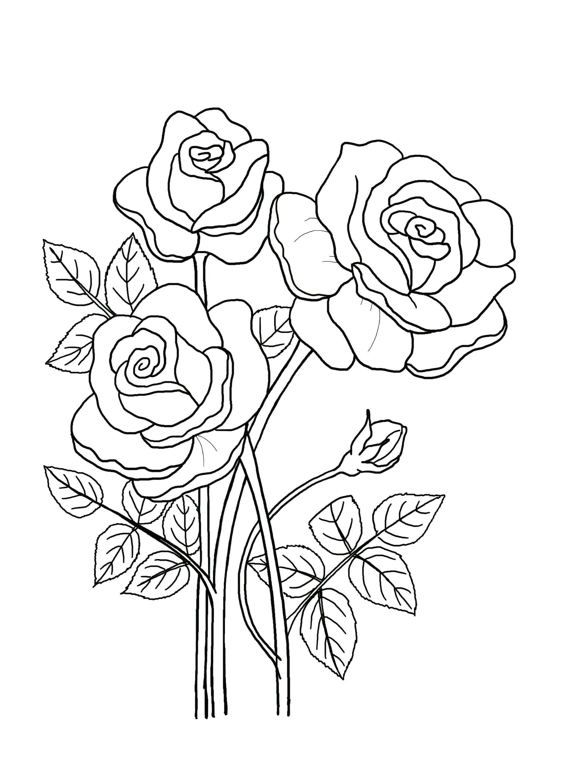 Printable Floral Coloring Sheets Coloring Pages Adult Coloring Pages Kids Coloring Pages Coloring Flowers Etsy